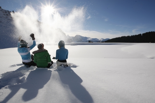 Large photo of Les Carroz