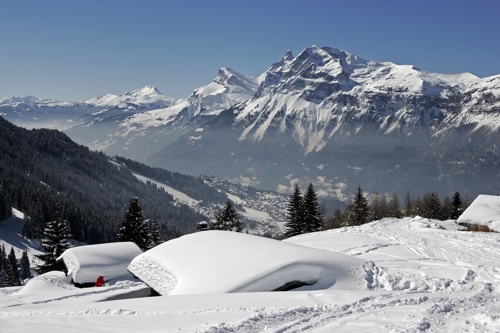 Large photo of Les Carroz