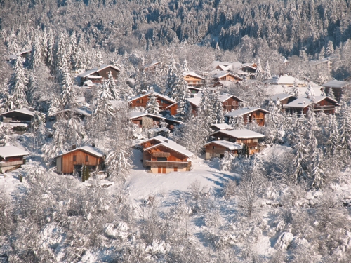 Large photo of Les Carroz