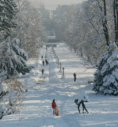 Large photo of Ljubljana
