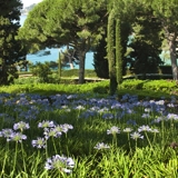 Photo of Lloret de Mar