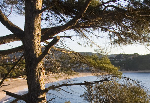Fenals beach at Lloret de Mar