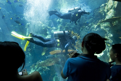 Large photo of Long Beach