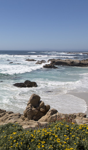 long beach, California