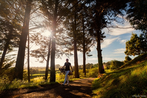 Large photo of Los Cristianos