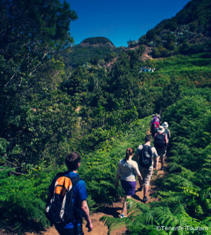 Los Cristianos villas