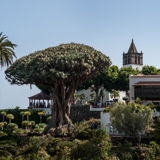 Photo of Los Gigantes