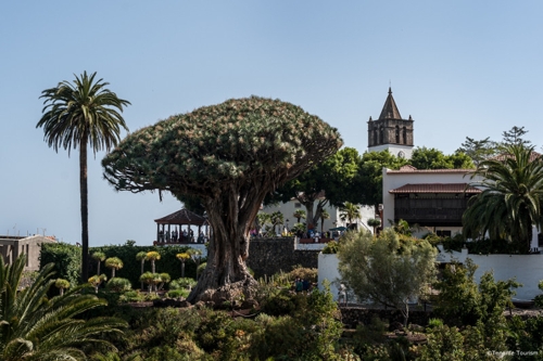 Large photo of Los Gigantes