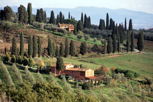 Large photo of Lucca