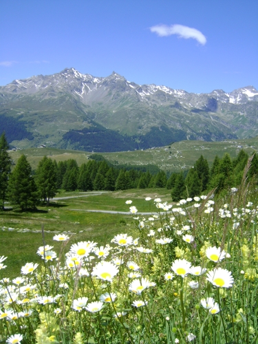 Large photo of Madesimo