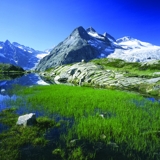 Photo of Madonna di Campiglio