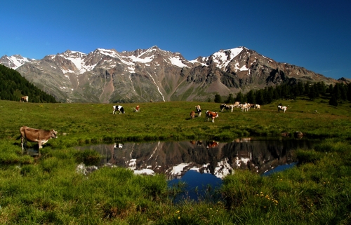 Large photo of Mezzana