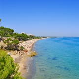 Photo of Miami Platja