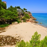 Photo of Miami Platja