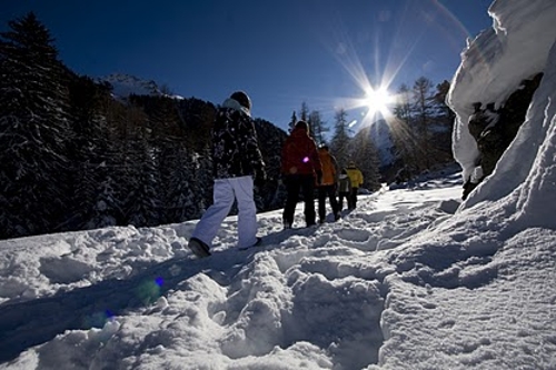 Large photo of Nendaz