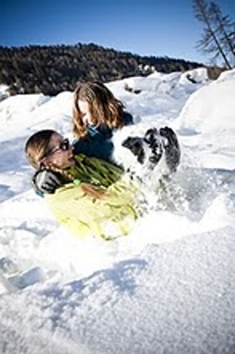 Large photo of Nendaz