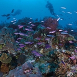 Photo of North Caicos