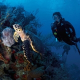 Photo of North Caicos