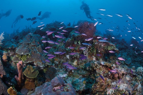 Large photo of North Caicos