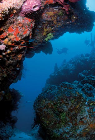 turks and caicos scuba diving around north caicos , Turks and Caicos islands, caribbean