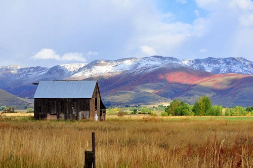 Large photo of Ogden
