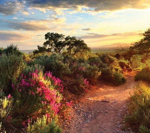 Large photo of Ogden