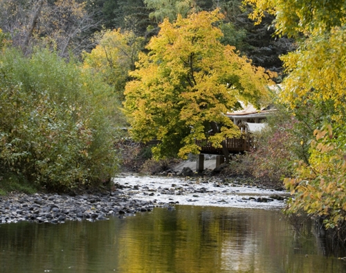 Large photo of Ogden