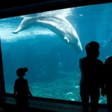 Photo of Pacific Beach