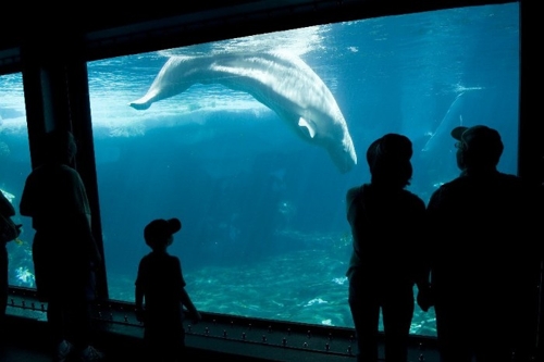 Large photo of Pacific Beach