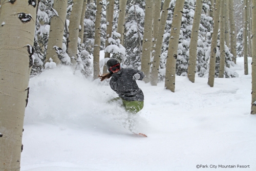Large photo of Park City