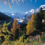 Photo of Pontresina