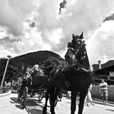 Photo of Praz sur Arly