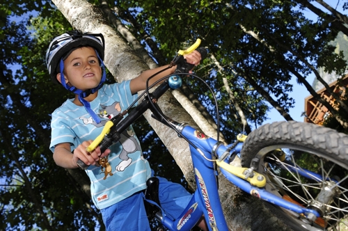 Large photo of Praz sur Arly