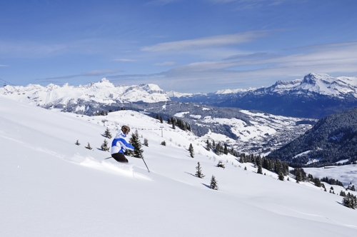 Large photo of Praz sur Arly