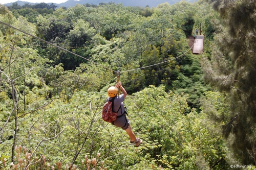 Large photo of Princeville