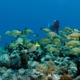 Photo of Providenciales