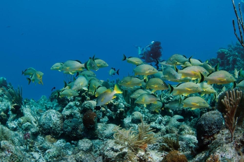 Large photo of Providenciales