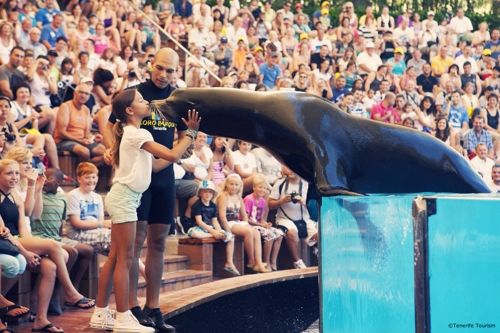 Large photo of Puerto de la Cruz