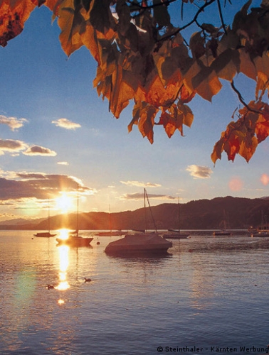 Large photo of Reifnitz