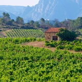 Photo of Roussillon