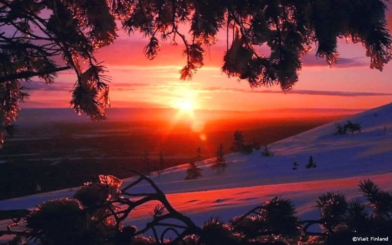 Saariselkä ski holidays finland lapland