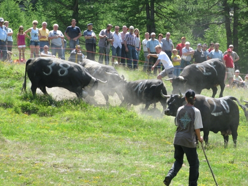 Large photo of Saas-Fee