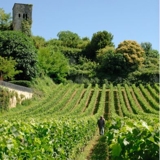 Photo of Saint Emilion