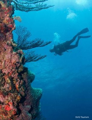 scuba diving, saint-vincent