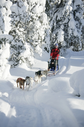 Large photo of Salla