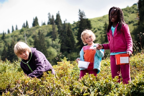 Large photo of Samoens