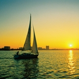 Photo of Sarasota