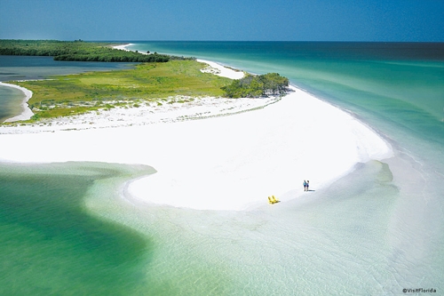 Large photo of Sarasota