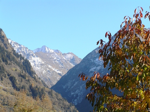 Large photo of Sarreyer