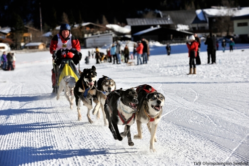 Large photo of Seefeld